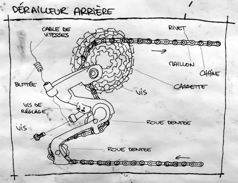 Fichier:Mrpetit derailleur arriere.jpg